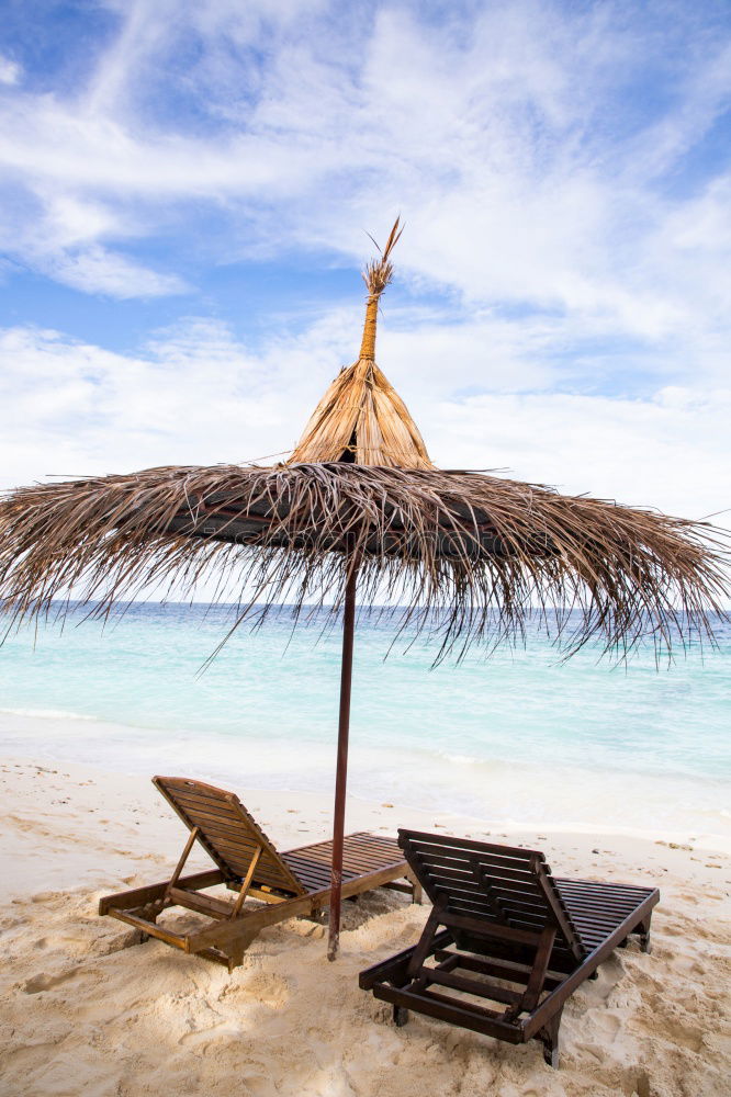 Similar – Maldives island luxury resort palm tree with hanging hammock