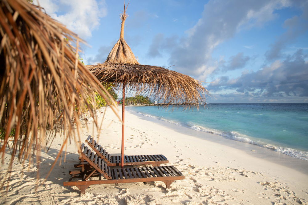 Similar – Maldives island luxury resort palm tree with hanging hammock