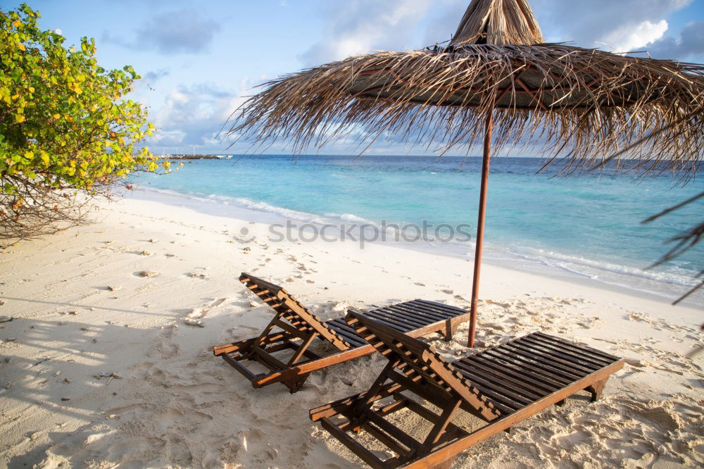 Similar – Maldives island luxury resort palm tree with hanging hammock