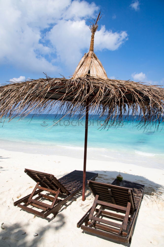 Similar – Maldives island luxury resort palm tree with hanging hammock