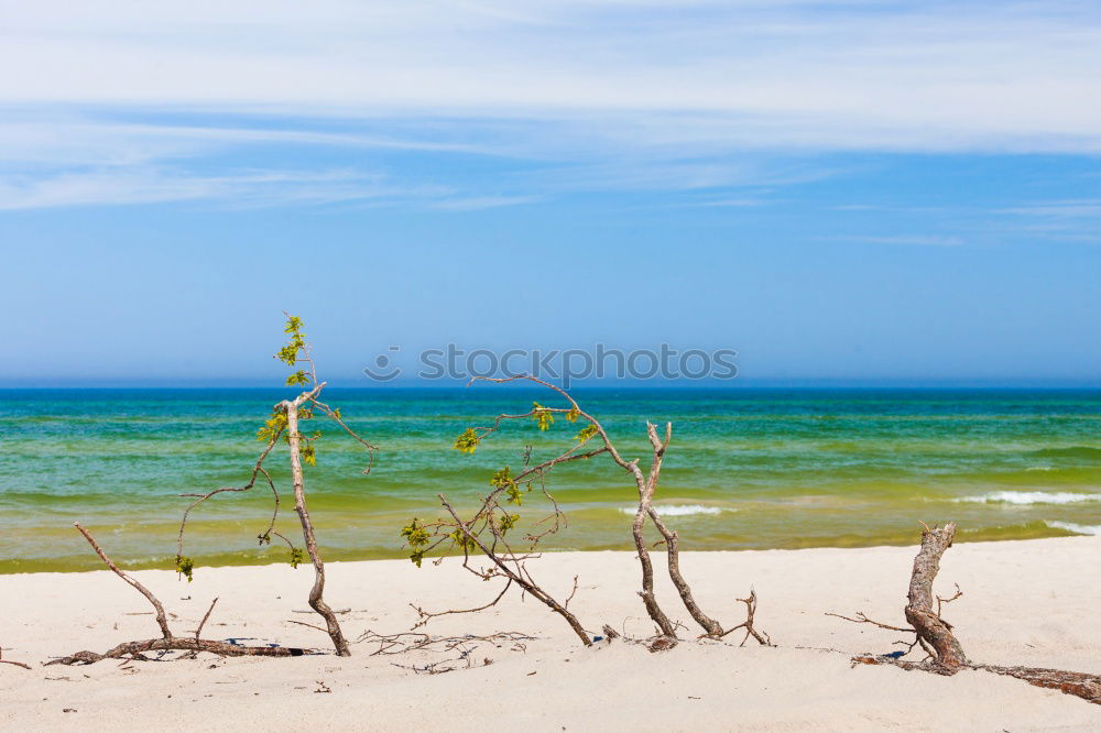 Similar – Image, Stock Photo Idyllic place at the west beach