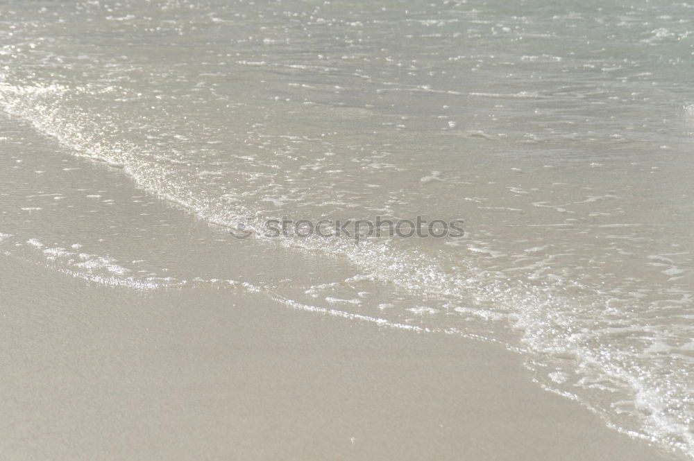 Similar – Man walking on the beach