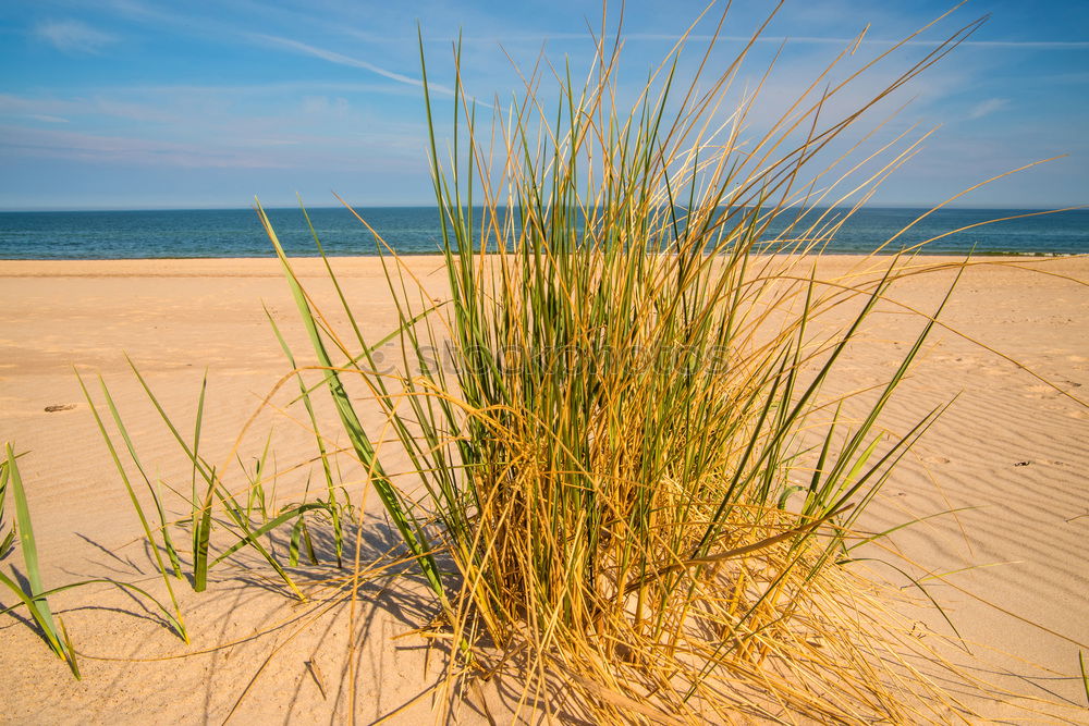 Similar – Baltic Sea in Sweden