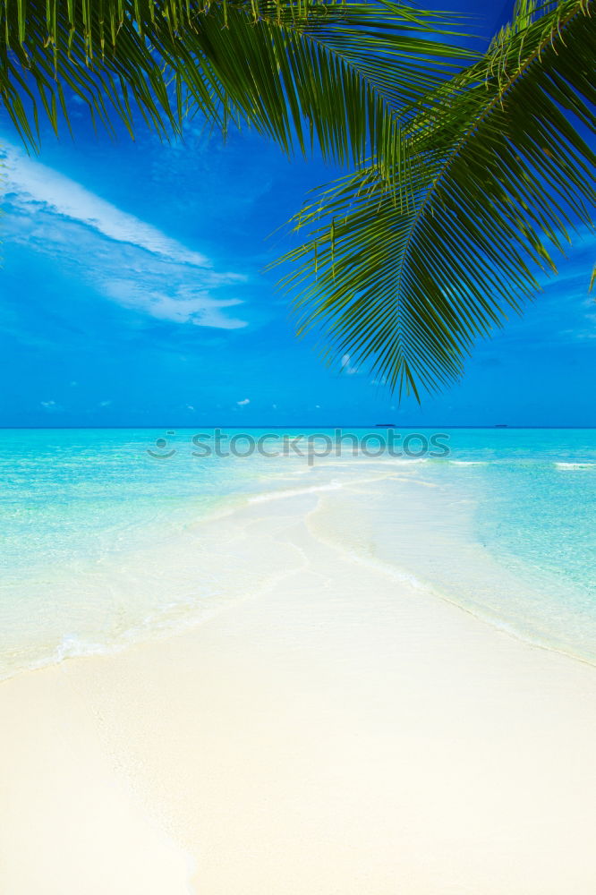 Island feeling in High Definition