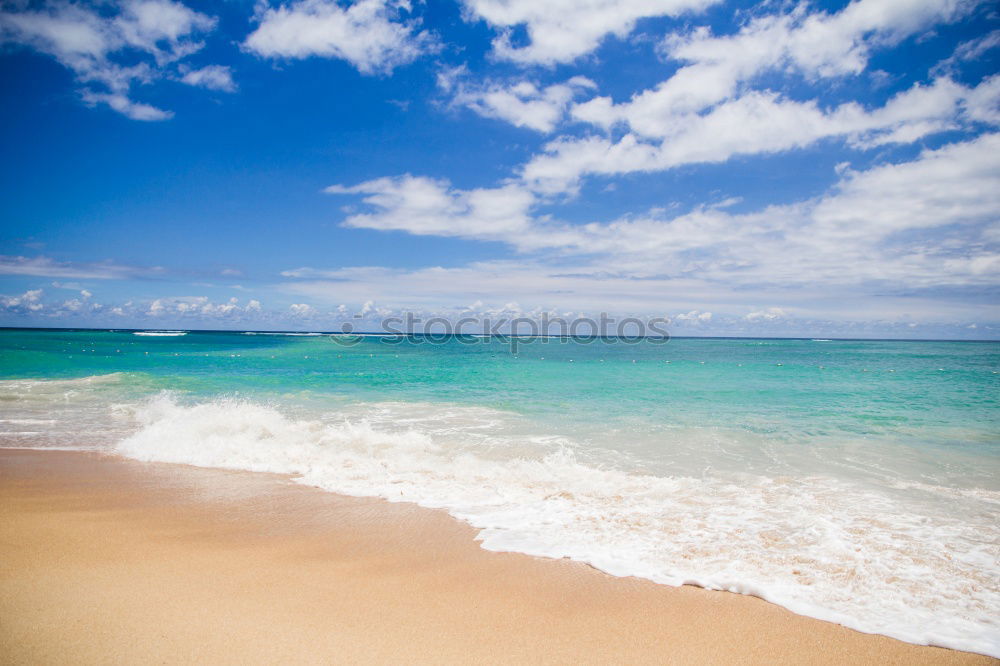 Similar – bondibeach Strand