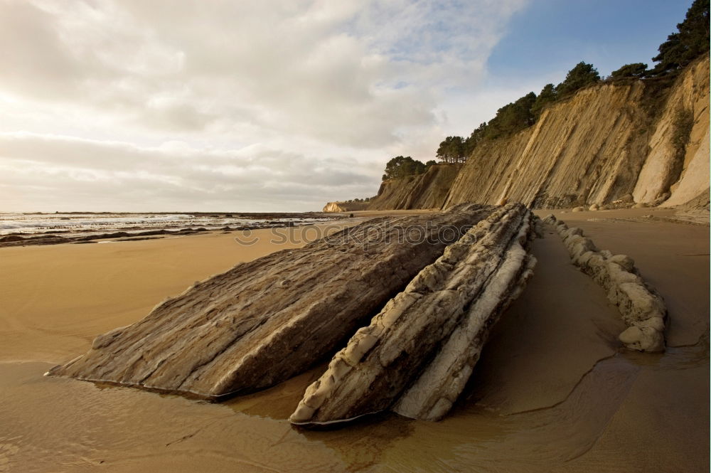 Similar – flysch Nature Landscape