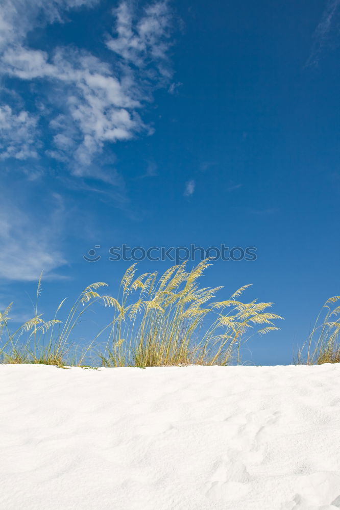 Similar – Playa de Valdoviño (España)