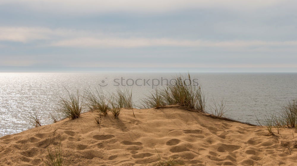 Similar – Weitblick Niederlande