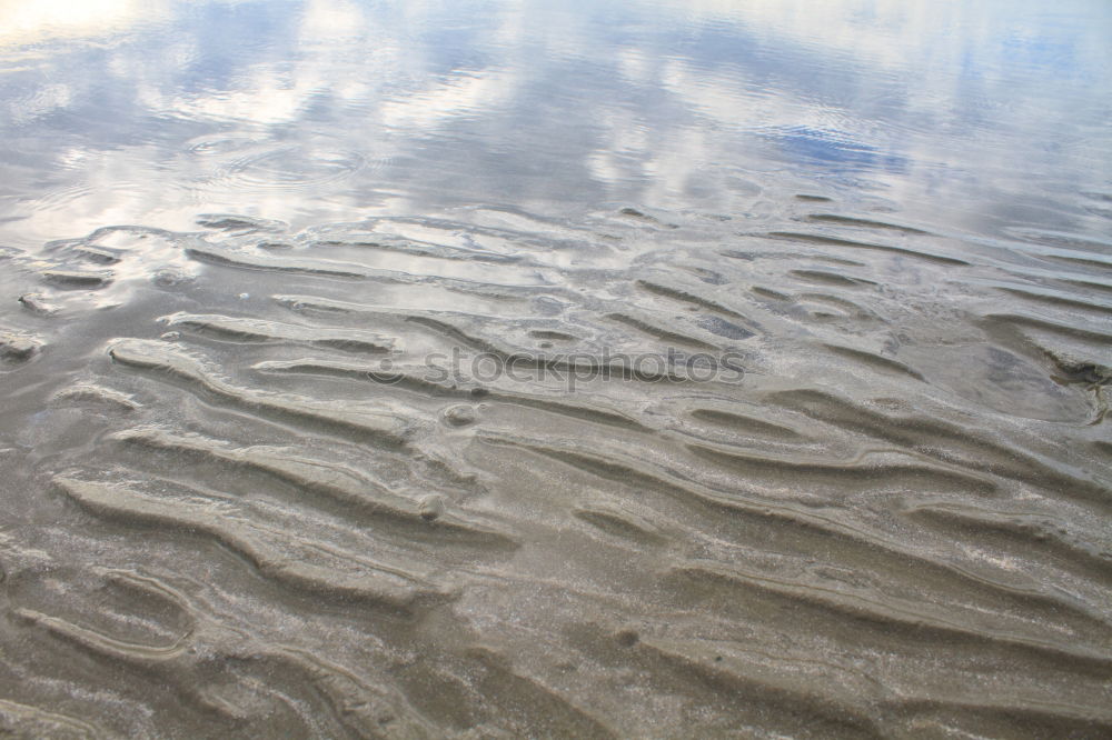 Similar – bodenlos Meer See Muschel