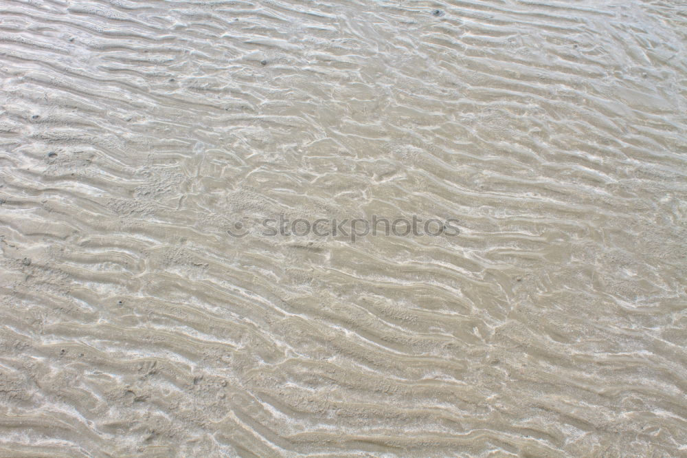 Similar – Foto Bild Der Weg Meer Strand