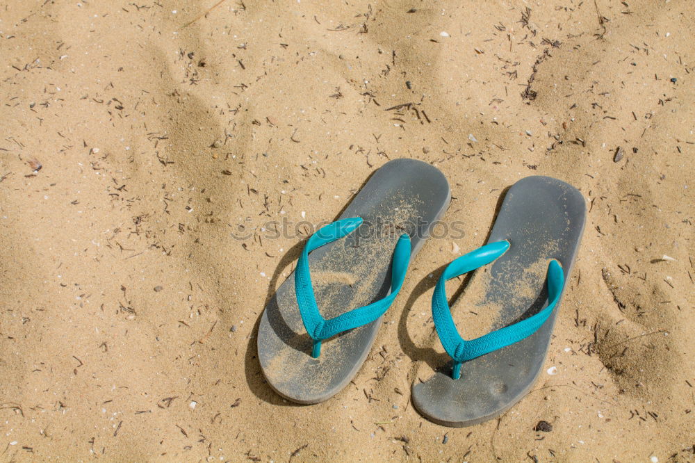 Similar – crass green flip flops