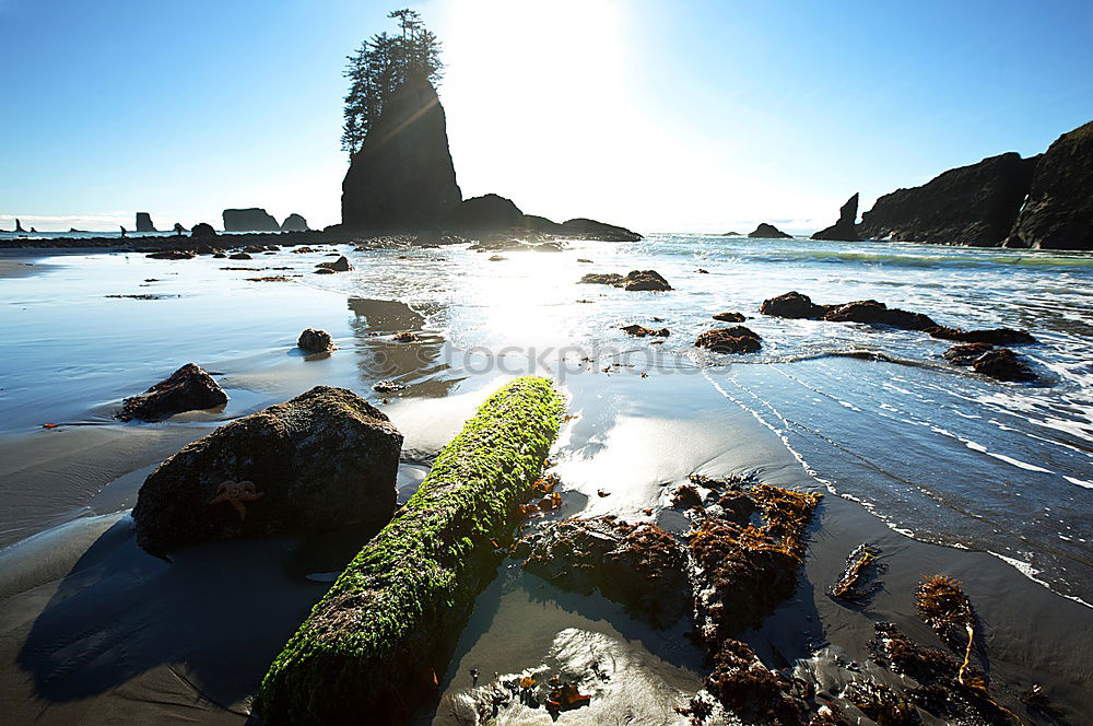 Similar – Image, Stock Photo Oregon Coast