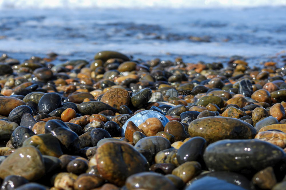 Similar – Image, Stock Photo Glass ball at the Baltic Sea