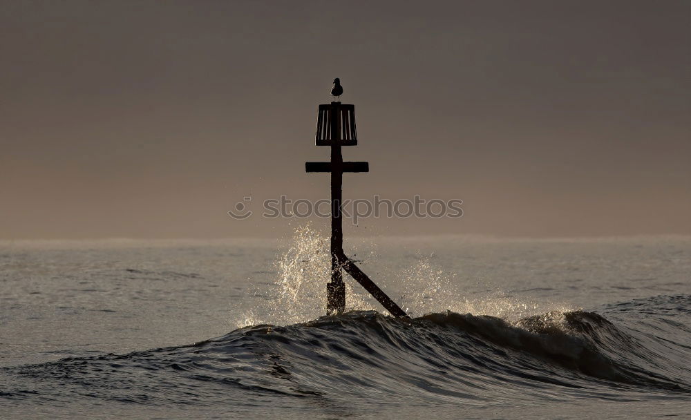 Similar – Image, Stock Photo Lake Zurich Lake zurich