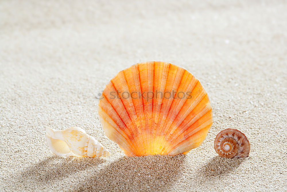 Similar – Image, Stock Photo Time at the sea Clock