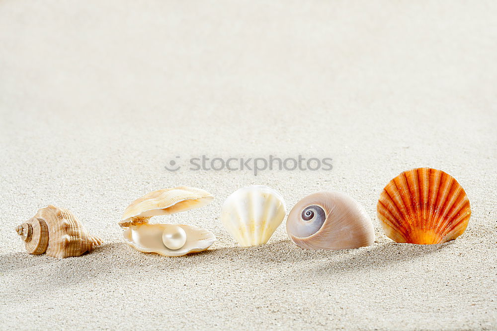 Similar – Image, Stock Photo Time at the sea Clock