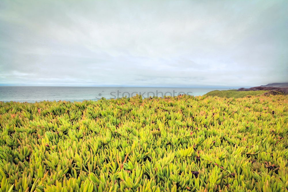 Similar – Image, Stock Photo on the hill Grass Meadow