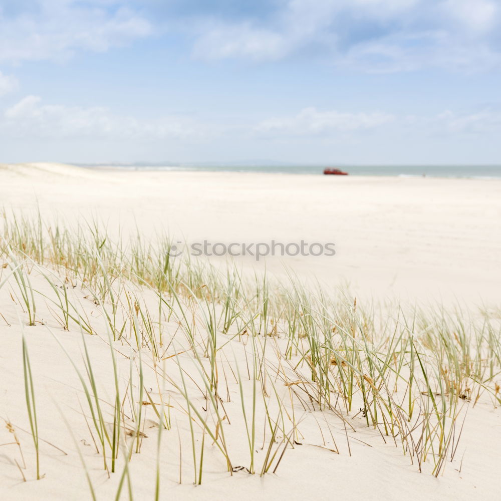 Similar – Juist Sommer Strand Meer