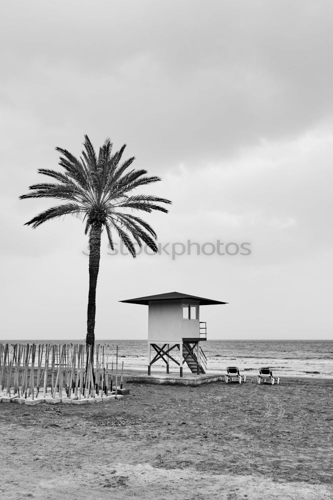 Similar – Image, Stock Photo phone alone Beach Italy