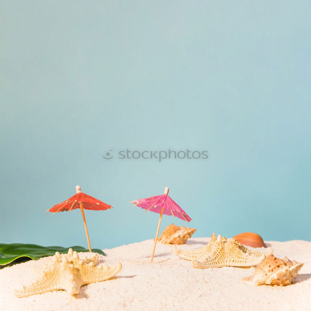 Similar – Seafood on a blue background with algae