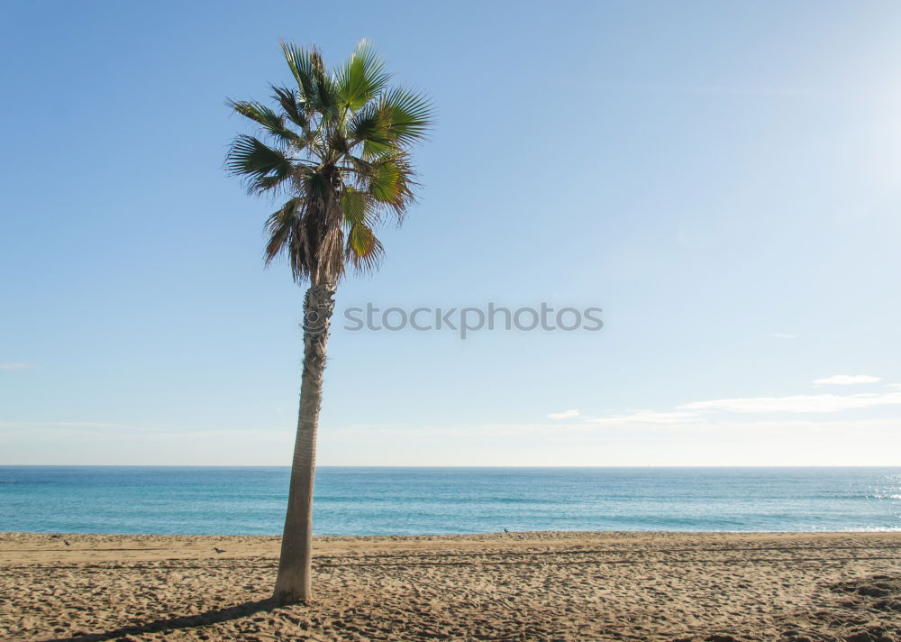 Similar – baywatch Beach Ocean