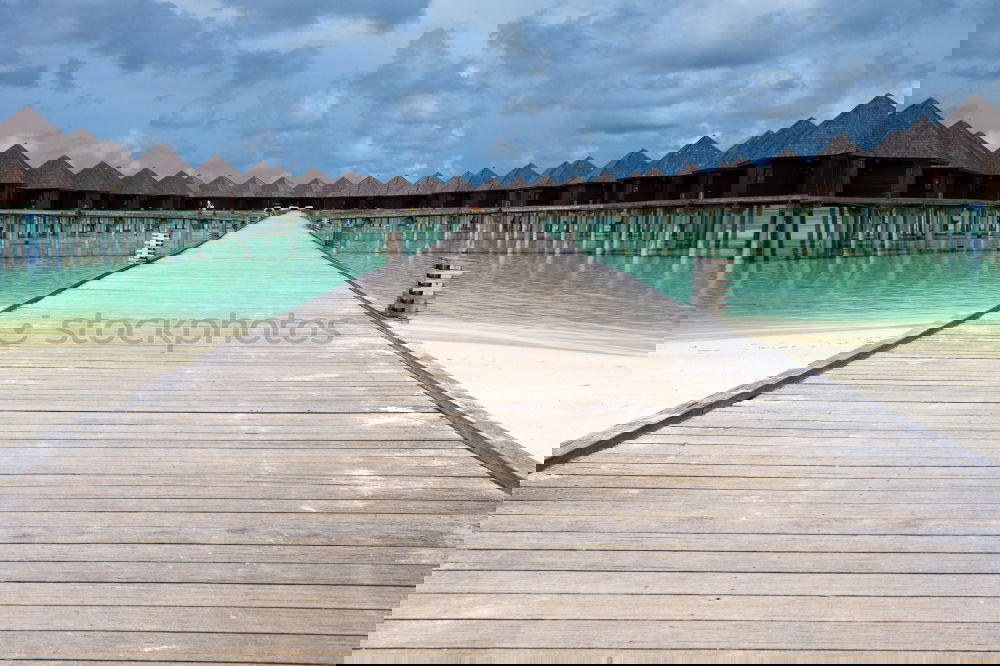 Similar – Image, Stock Photo Nyang-Nyang