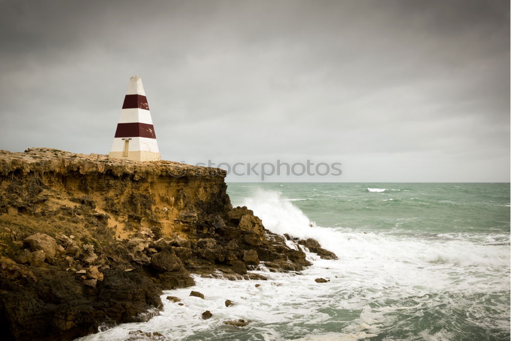 Similar – Image, Stock Photo Seagull&Lighthouse