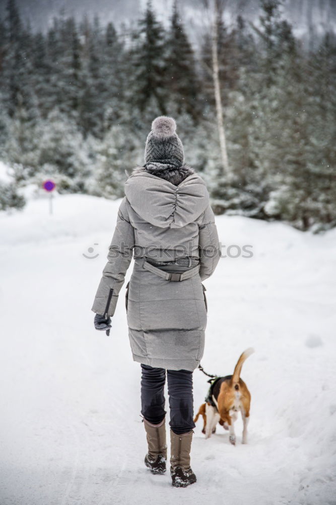 Similar – Image, Stock Photo Romping in the snow