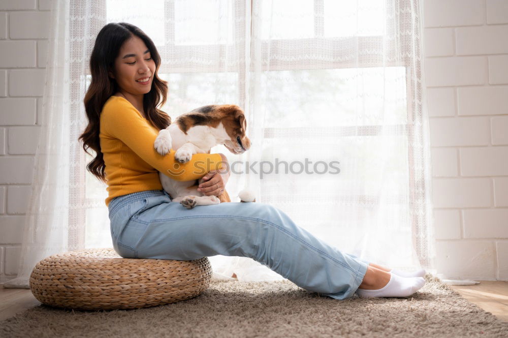 portrait of Cute toy poodle with his owner