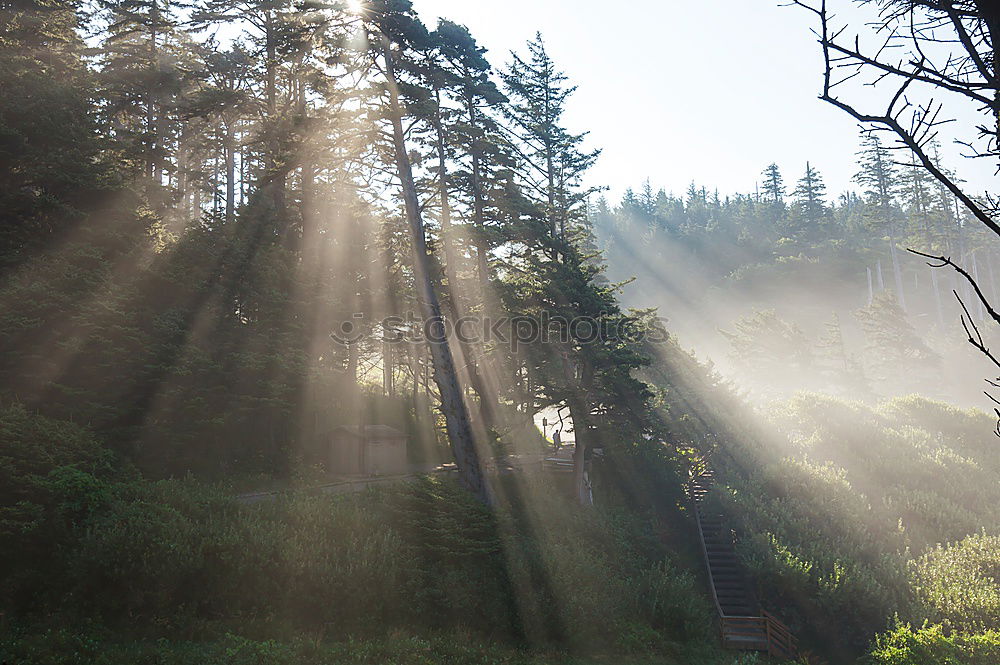 Similar – Image, Stock Photo High Asian pagoda in woods