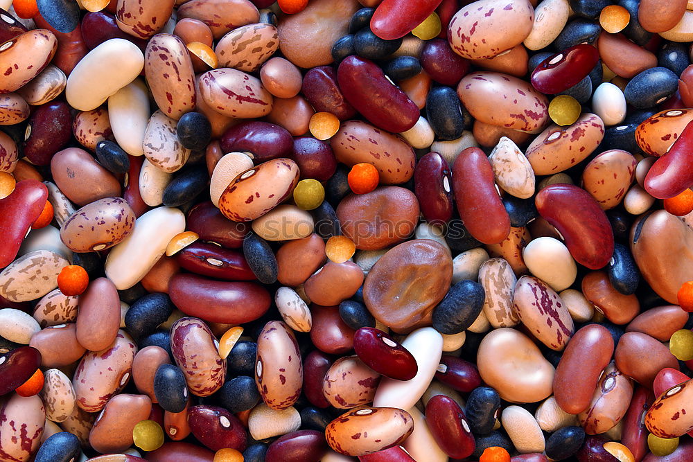 Similar – Image, Stock Photo #AS# Chestnut gang Nature