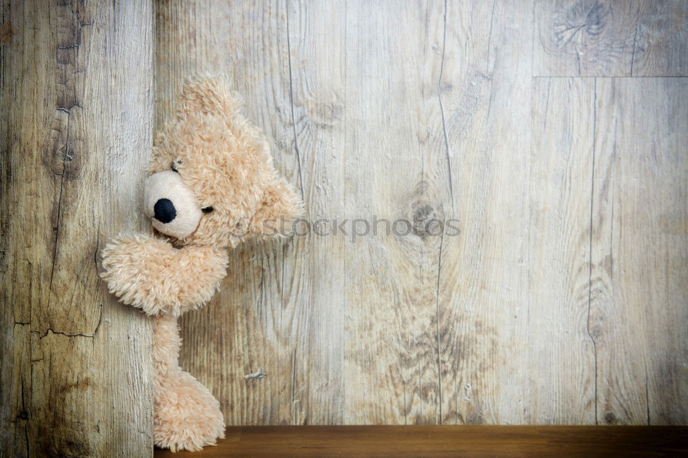 Similar – old teddy bear hanging on a clothesline