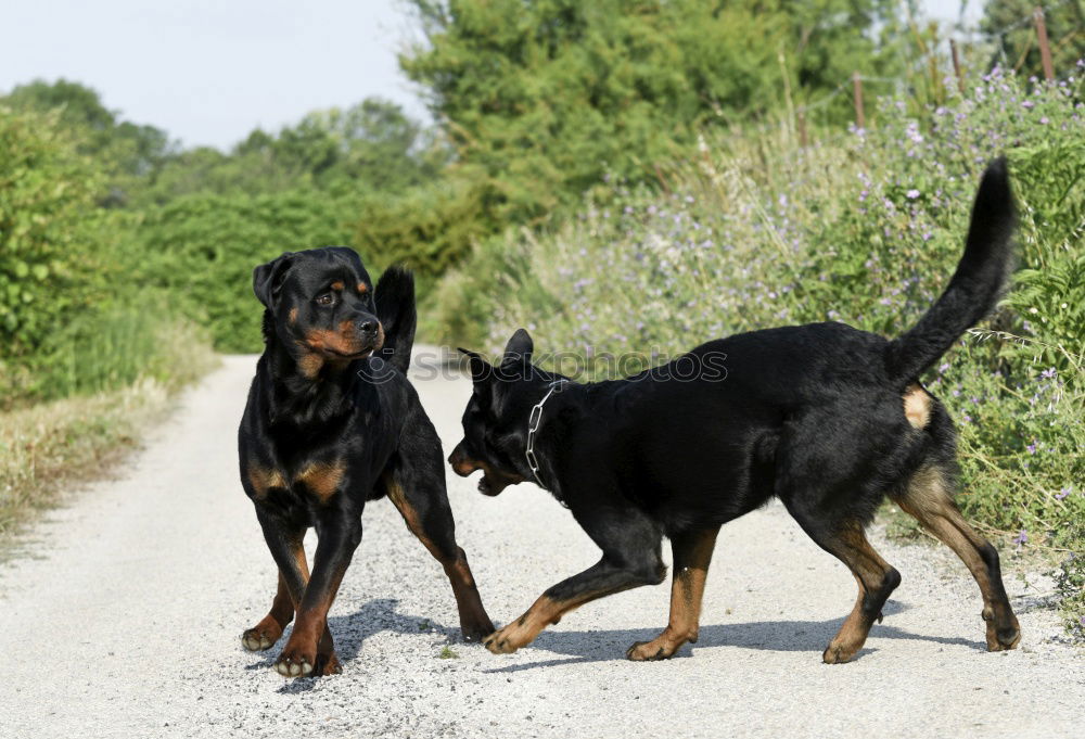 Similar – Foto Bild Spaziergang