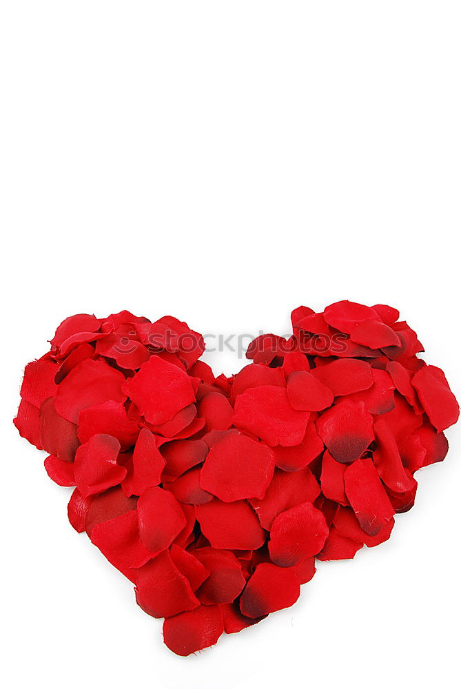 Similar – Image, Stock Photo Valentine hearts on rustic wooden background