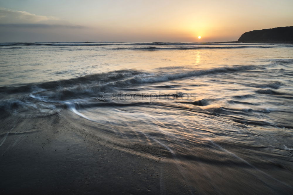 Similar – seaweed Environment Nature