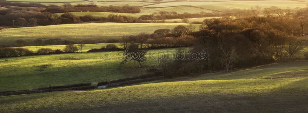 Similar – Fields and buildings in the mist at sunset.