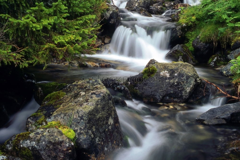 Natur pur Landschaft