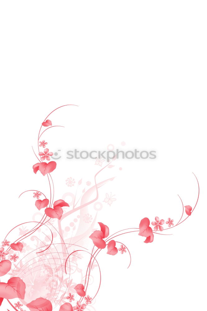 Similar – Image, Stock Photo tenderness Flower