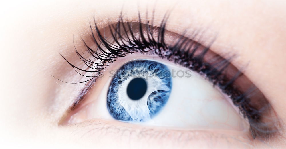 Similar – Image, Stock Photo Macro of a woman’s blue eye