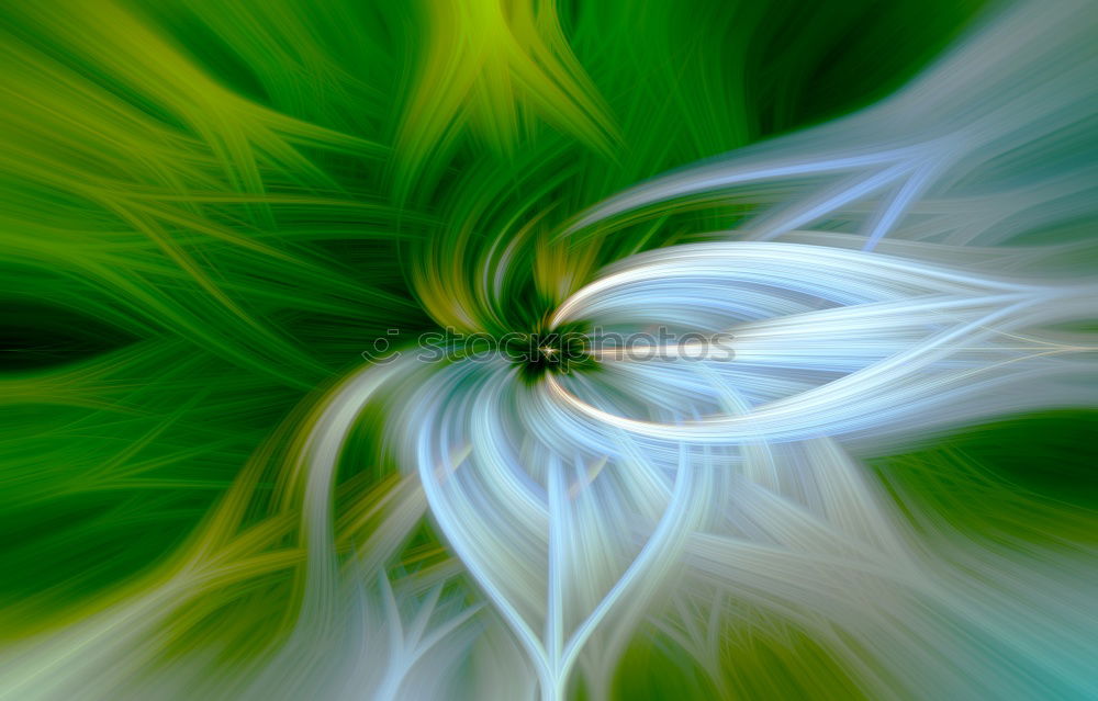 Similar – Image, Stock Photo Raindrops on a green leaf