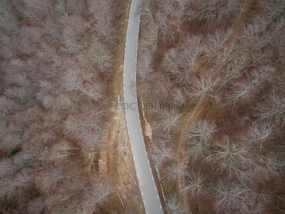 Similar – Image, Stock Photo Small road in a forest seen from above