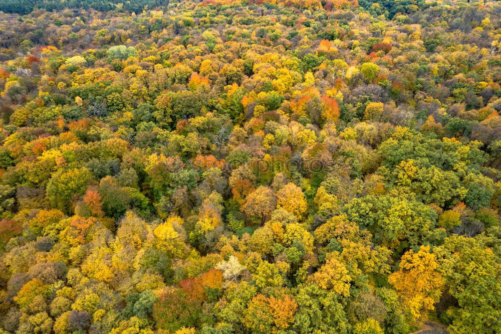 Similar – Schduagerter Landschaft