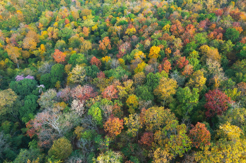 Similar – Schduagerter Landschaft