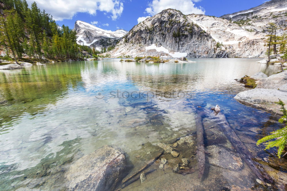 Similar – Image, Stock Photo Lake Swan Environment