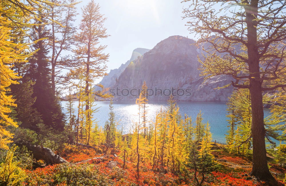Similar – Image, Stock Photo Autumn at Mount Crowfoot