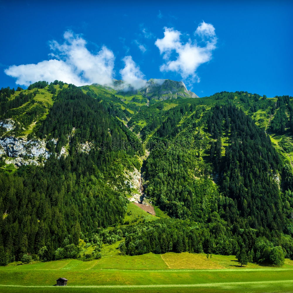 Similar – Image, Stock Photo Alpine landscape with mountains and forests in Austria