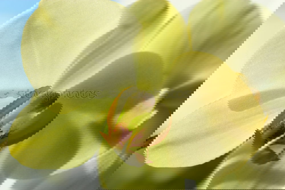 Similar – Foto Bild InWater unten nass