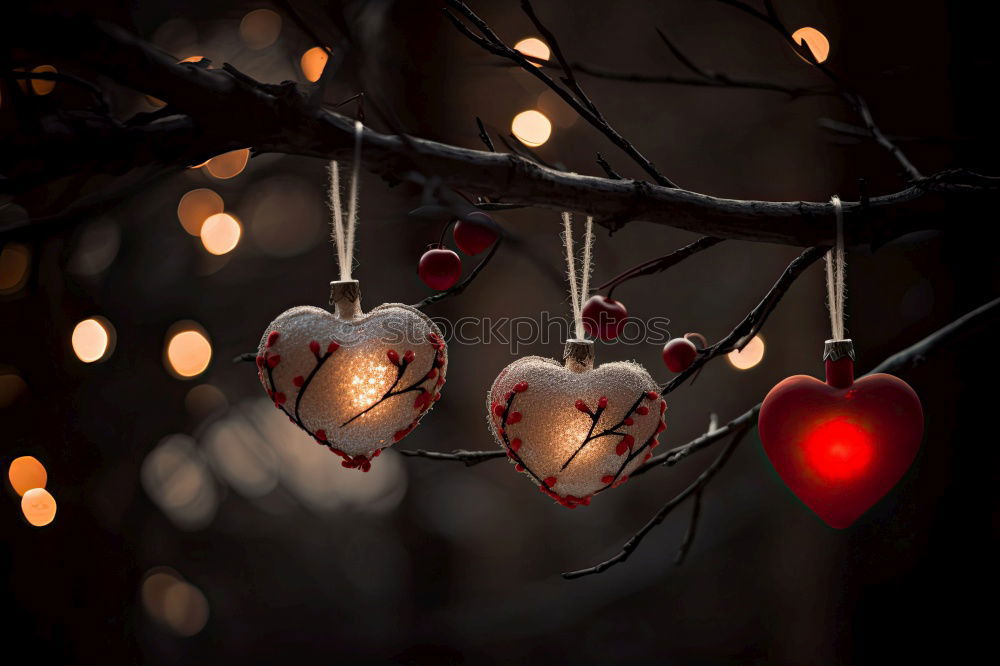 Similar – Image, Stock Photo Fir twigs with hanging lampion of a lampion flower in backlight with Bokeh