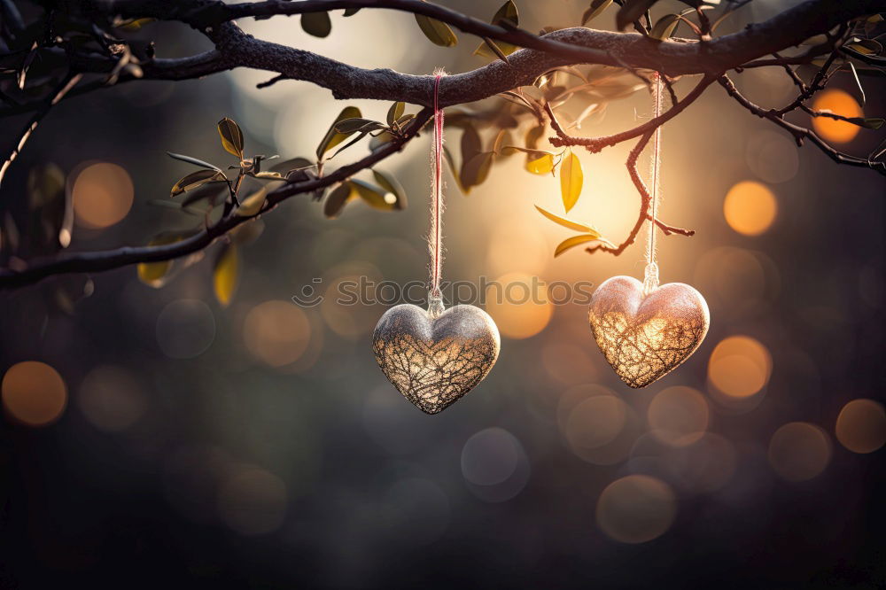 Similar – Image, Stock Photo christmas decoration