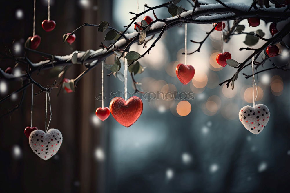 Similar – Image, Stock Photo Nostalgic, festive Christmas decoration with delicate fir branches, red bauble and ribbon. Red Christmas bauble hangs shiny on branches. Shiny Christmas bauble hangs from branches in old white nostalgic porcelain pot at home.